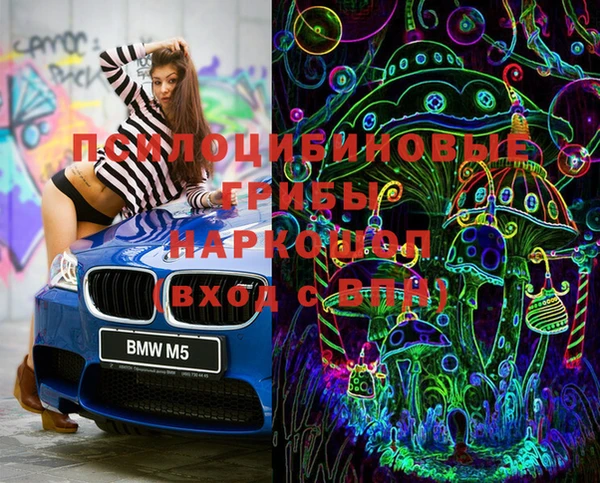 спиды Карталы