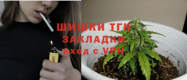 крисы Карпинск