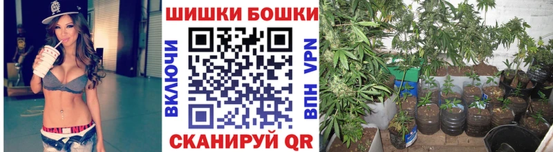 Купить где  Болотное  Канабис AK-47 